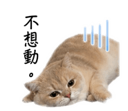 839506621