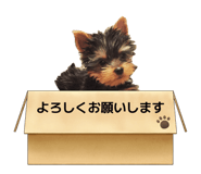 839507416
