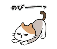 839507753