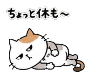 839507756