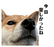 839522242