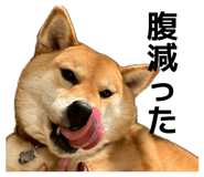 839522243
