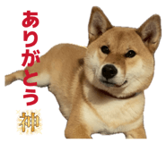 839522250