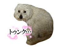 839522373