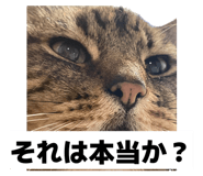 839522490