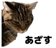 839522495