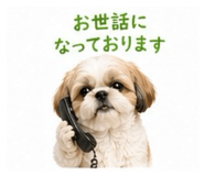 839523051