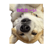 839531571