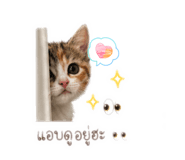 839531676