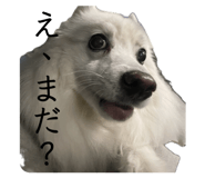839531865