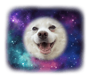 839531871