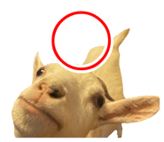 839532121