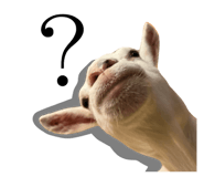 839532123