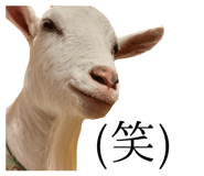 839532127