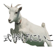 839532131