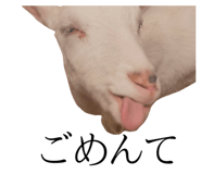 839532134