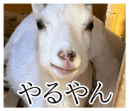 839532144