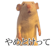 839532148