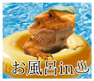 839532156