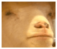 839532158