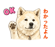 839539162