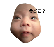 839539655
