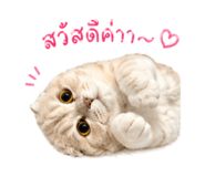 839558657