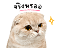 839558682
