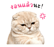 839558683