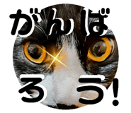 839559045