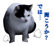 839559048