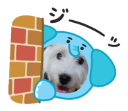 839559272