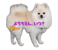 839559474