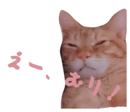 839559818