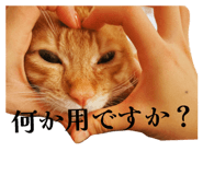 839559821
