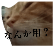 839559825