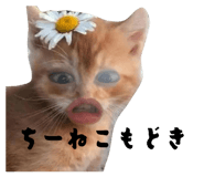 839559827