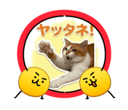 839560063