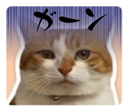 839560070