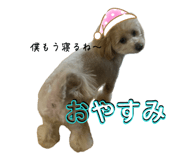 839572066