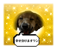 839572545