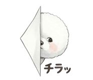 839572772