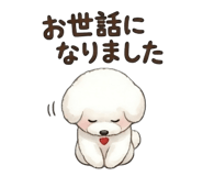 839573055