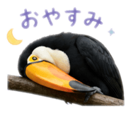 839576570