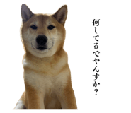 839576810