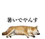 839576812