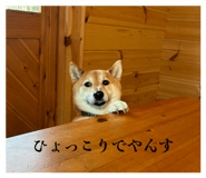 839576813