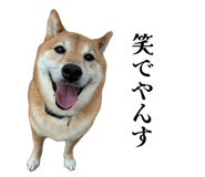 839576814