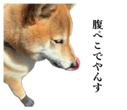 839576816