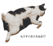 839577212